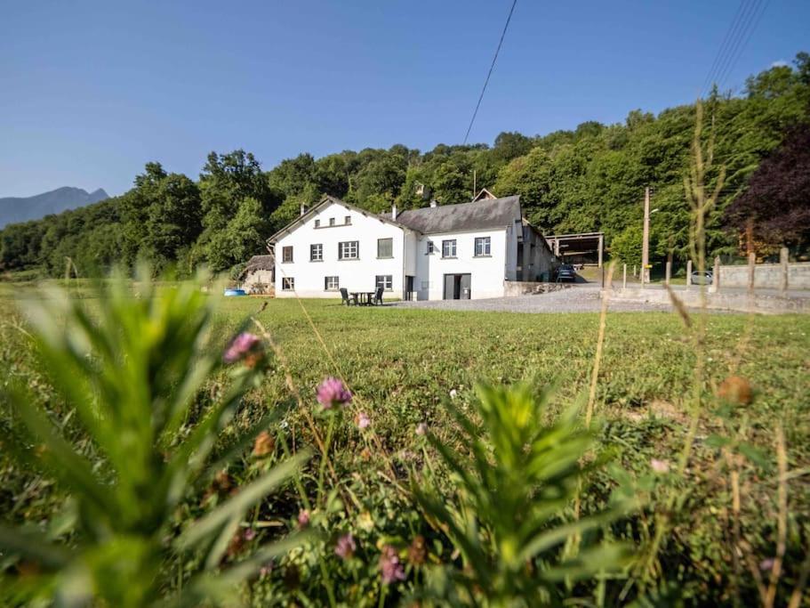Au Coeur Des Pyrenees Bigourdane Apartment